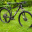 SUPERIOR XC 889