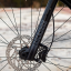 Polygon Siskiu D7 29